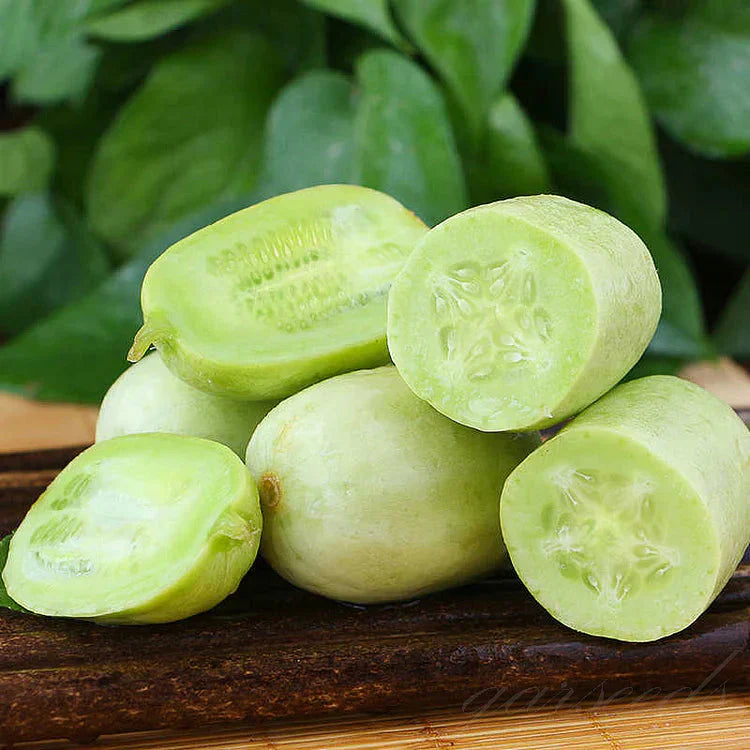 Cucumber Seeds