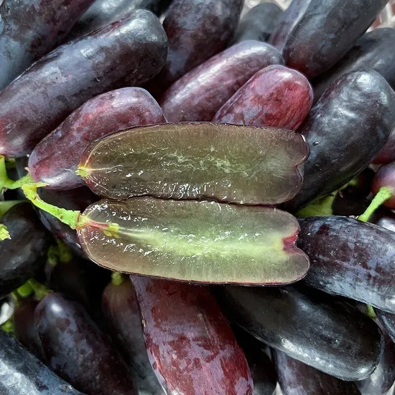 Premium High-Yield Blue Grape Seeds