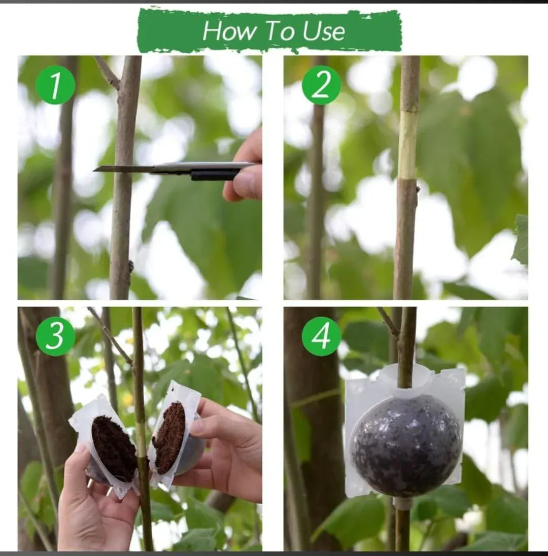 RootPeek™ (Pack of 5 with Free Pot mix) | Vegetable Seeds Flower Grow Bags Tools For Gardening Fertilizer Plant RootPeek™ Plant Rooting Balls (Pack of 5 with Free Pot mix)