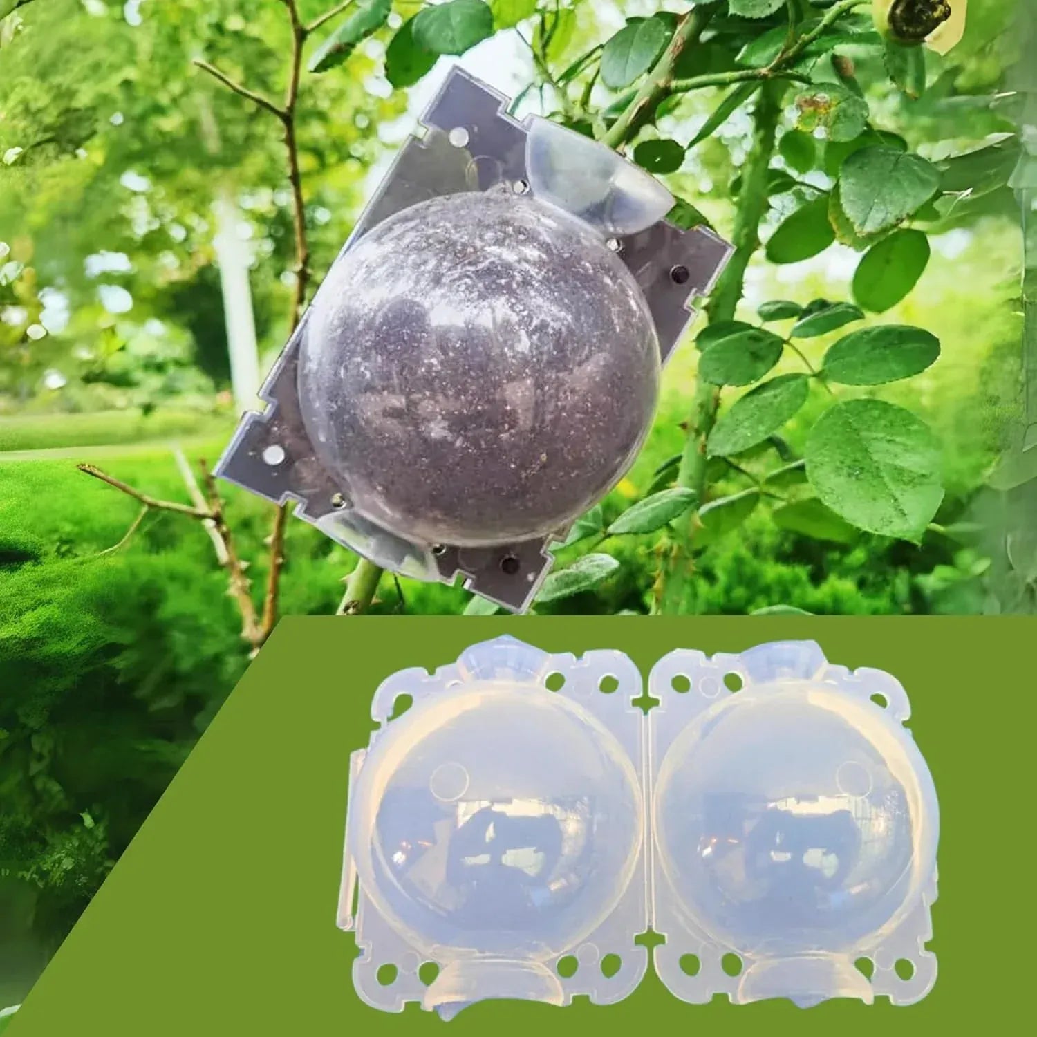 RootPeek™ (Pack of 5 with Free Pot mix) | Vegetable Seeds Flower Grow Bags Tools For Gardening Fertilizer Plant RootPeek™ Plant Rooting Balls (Pack of 5 with Free Pot mix)