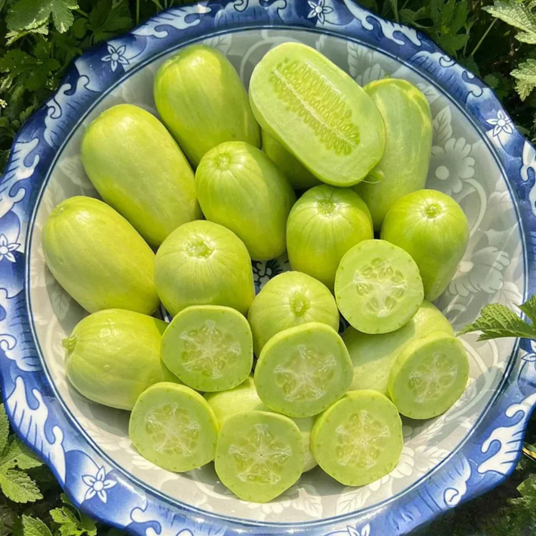 Cucumber Seeds