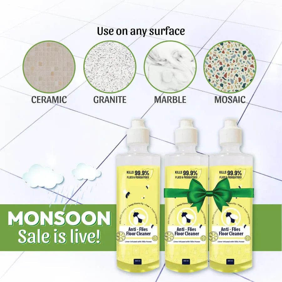 RepelShine™ (Pack of 2) | Foot Cleaner Mop Home Liquid Cleaning Floor Anti Fly Floor Cleaner RepelShine™ Anti Flies Floor Cleaner (Pack of 2)